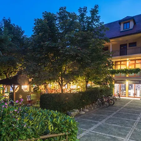 联盟膳食公寓酒店 3*